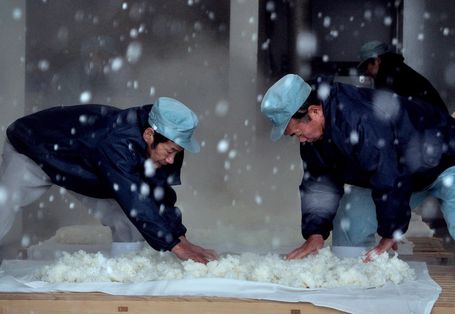 The Birth of Saké 