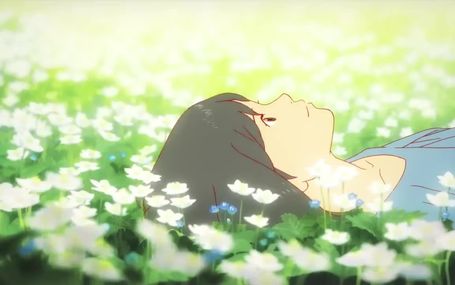 狼的孩子雨和雪 Wolf Children