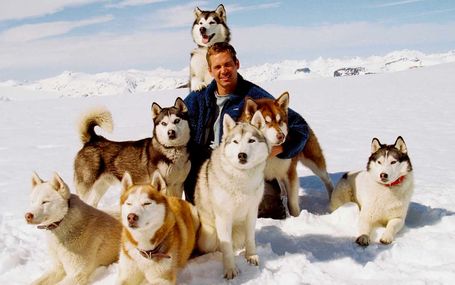 極地長征 Eight Below