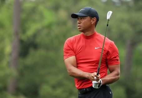 타이거 우즈: 아이콘 Tiger Woods: Icon