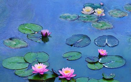 莫內睡蓮的水光魔法 Water Lilies Monet: the Magic of Water and Light