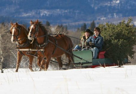 A Heartland Christmas 