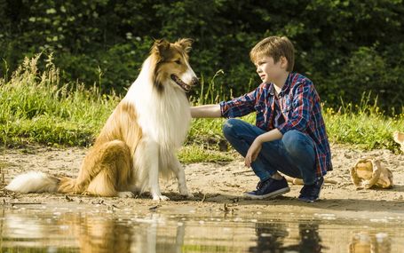 래시 컴 홈 Lassie Come Home, Lassie: Eine Abenteurliche Reise