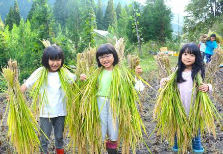 夢みる小学校 夢みる小学校