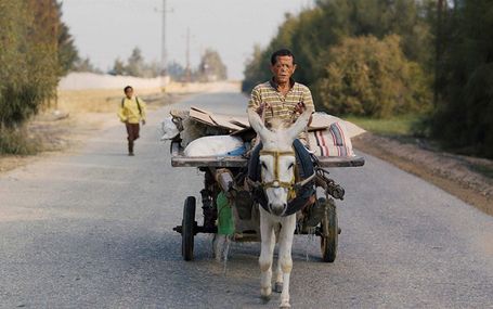 逆著風的旅行 Yomeddine