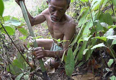 森のムラブリ　インドシナ最後の狩猟民 森のムラブリ　インドシナ最後の狩猟民