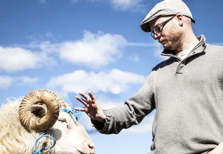 羊男的冰島冒險 Rams