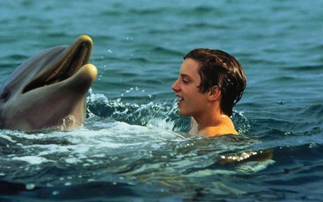 海豚的故事 Flipper