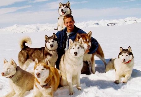 極地長征 Eight Below