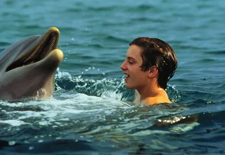 海豚的故事 Flipper
