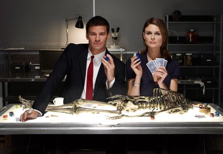 識骨尋蹤 第五季 Bones Season 5