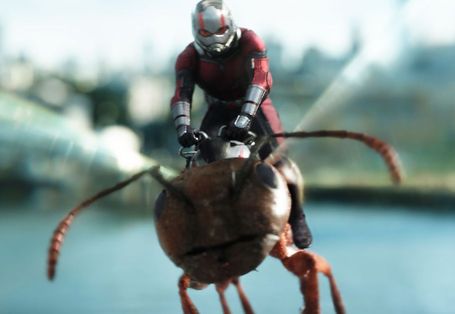 Ant-Man And The Wasp sp