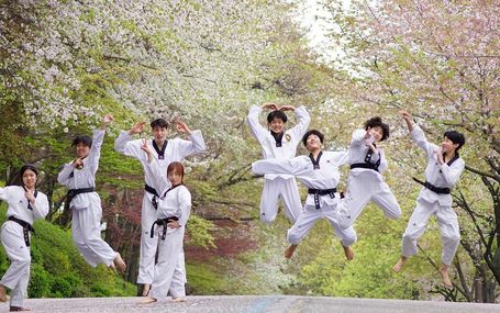 師範：跆拳道領袖 Master: Leaders of Taekwondo