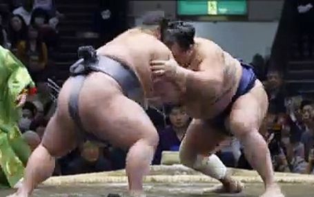 相撲道　サムライを継ぐ者たち 相撲道　サムライを継ぐ者たち